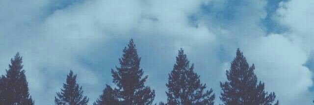 chystha's profile banner image