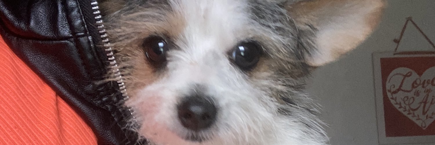 rachagirl's profile banner image