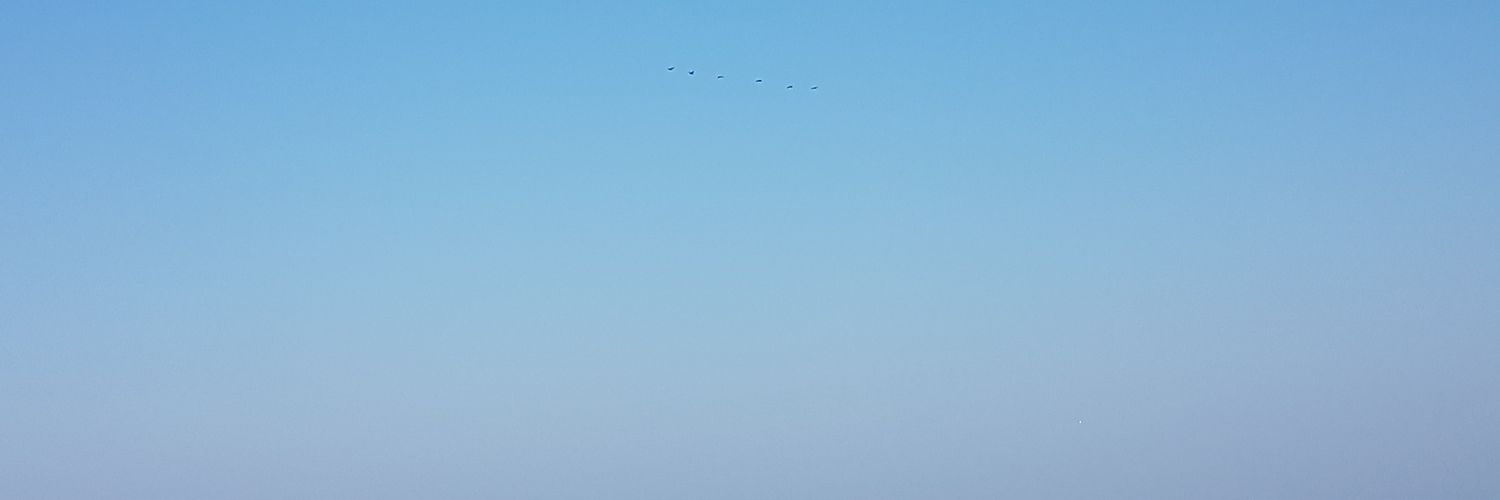 accio_liam's profile banner image