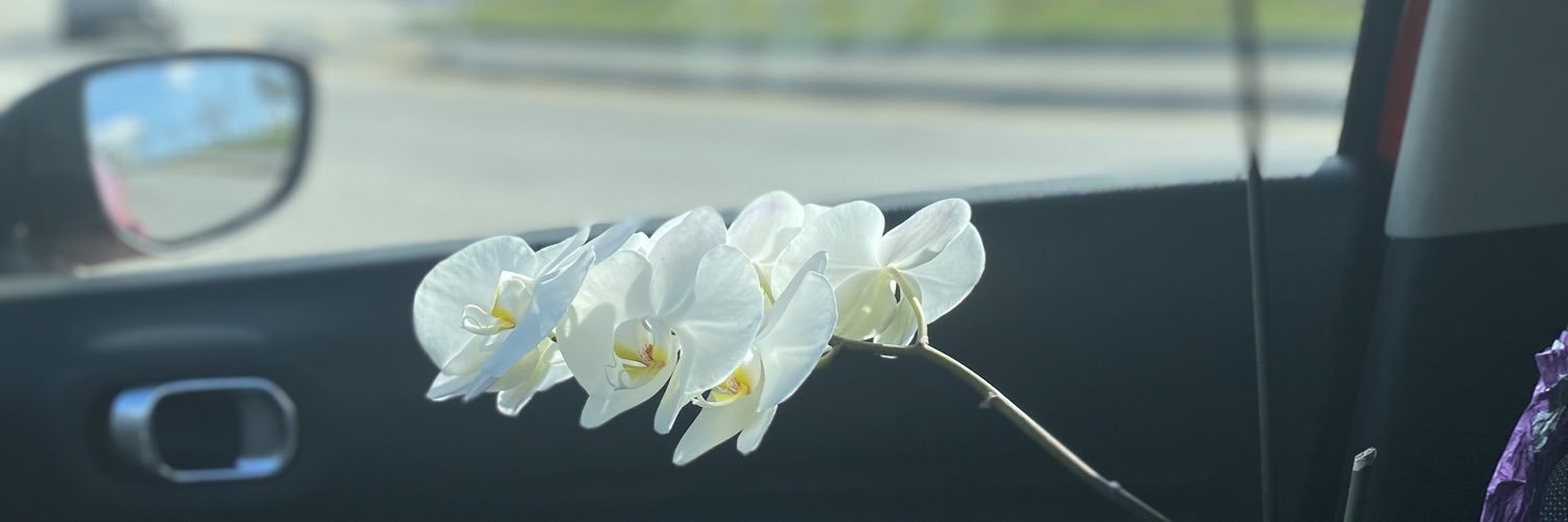 aybukesevimli's profile banner image