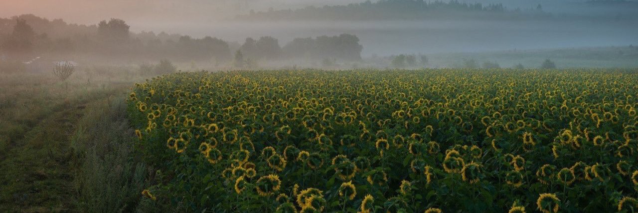 Aprilhnrs's profile banner image