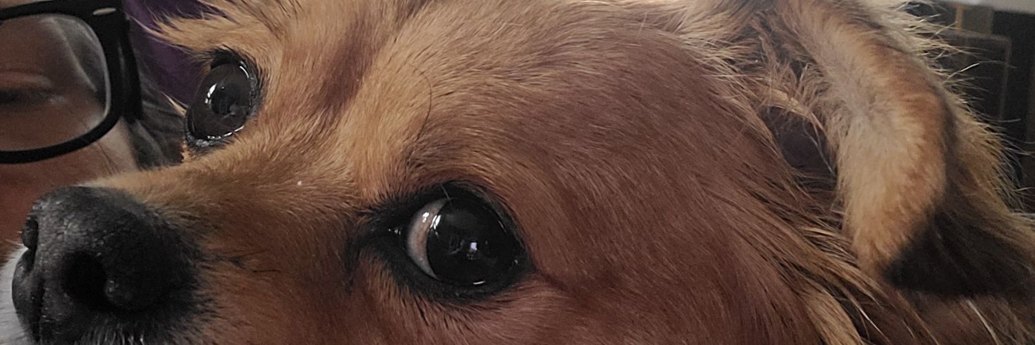 DefiledDungaree's profile banner image