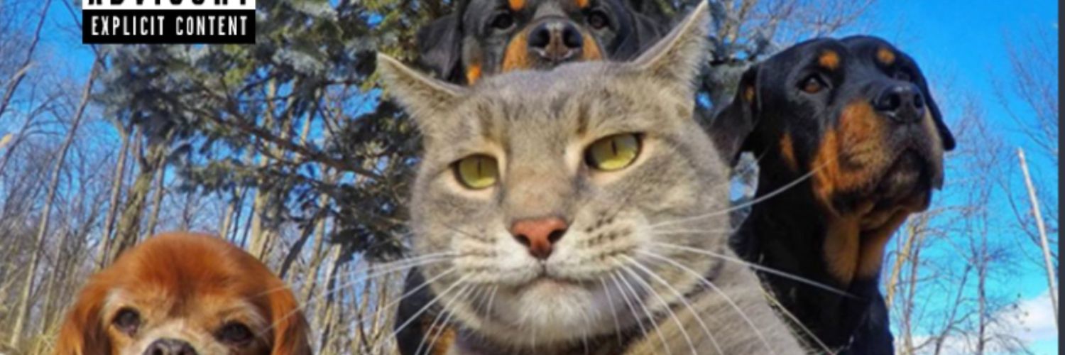 fredoruizjr's profile banner image