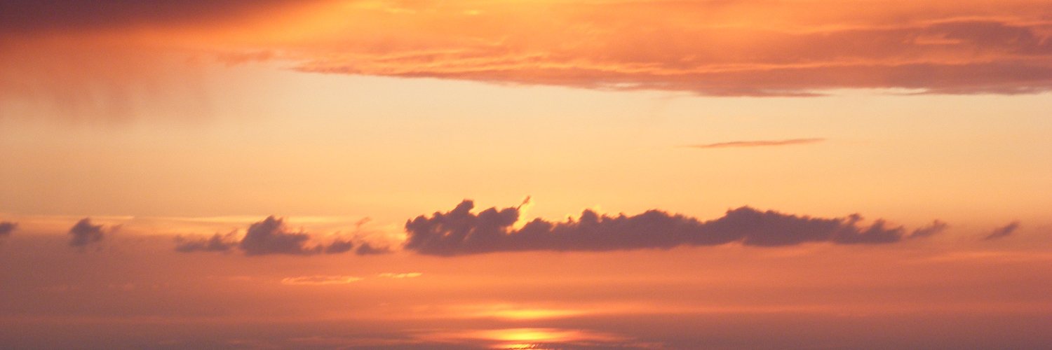 BarneyEWalsh's profile banner image