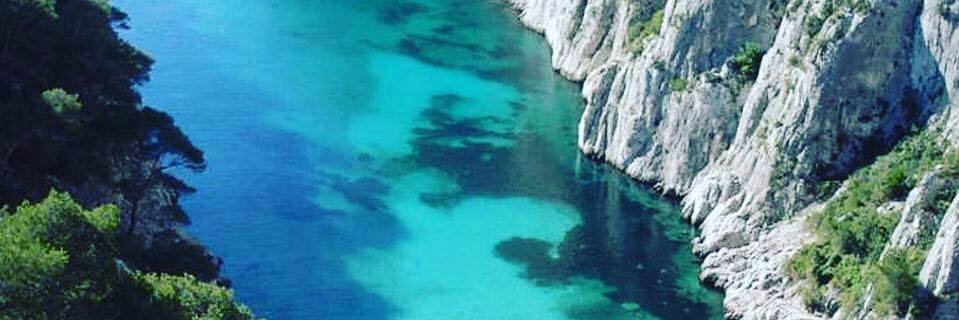 Dominique Lassus banner