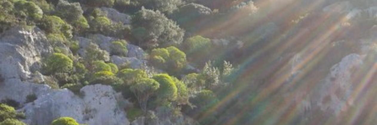 lelyatriada's profile banner image
