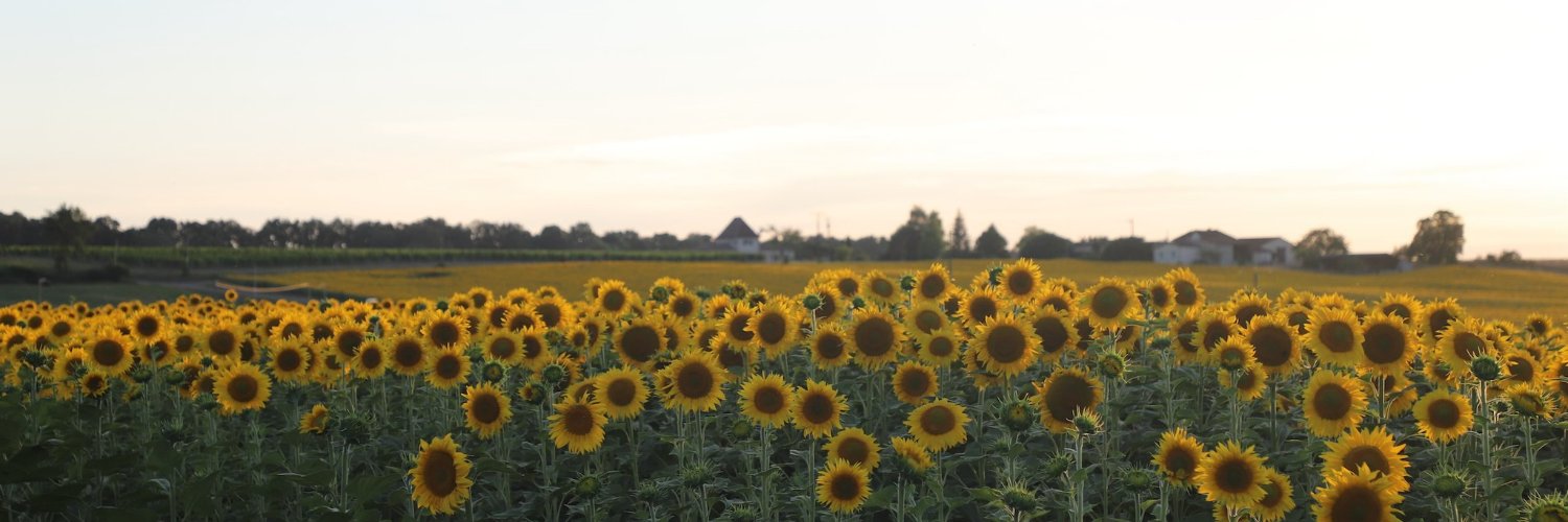 Smiling Flower banner