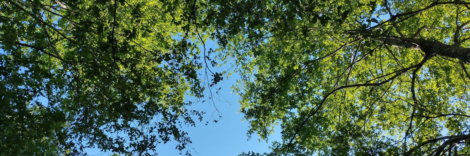 edowallace's profile banner image