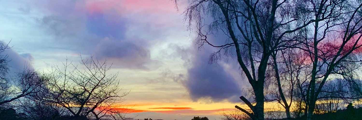 RachelgKnox's profile banner image