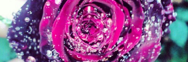 rad_pat Profile Banner