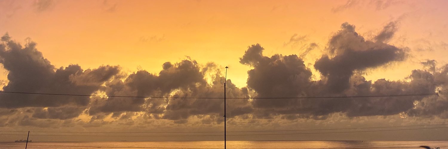 lop_s's profile banner image