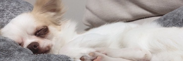mkj52621's profile banner image