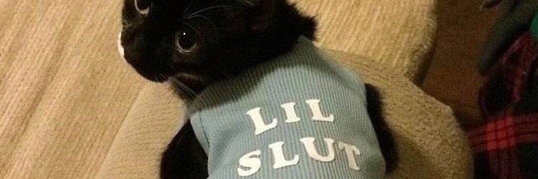 Pablito  banner