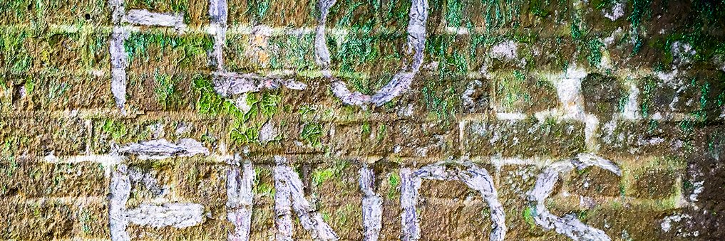 flo_finds's profile banner image