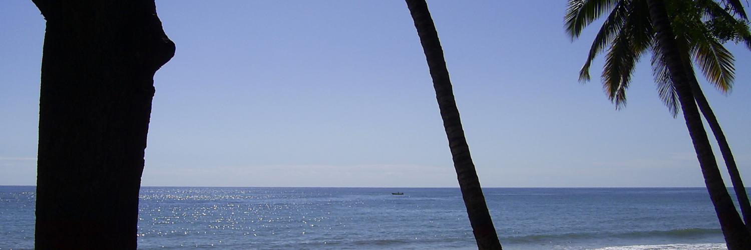 olgafonsek's profile banner image