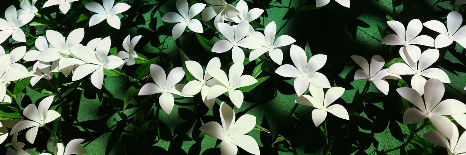 20120428YT's profile banner image
