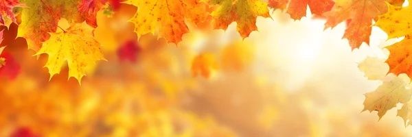 dekariser's profile banner image