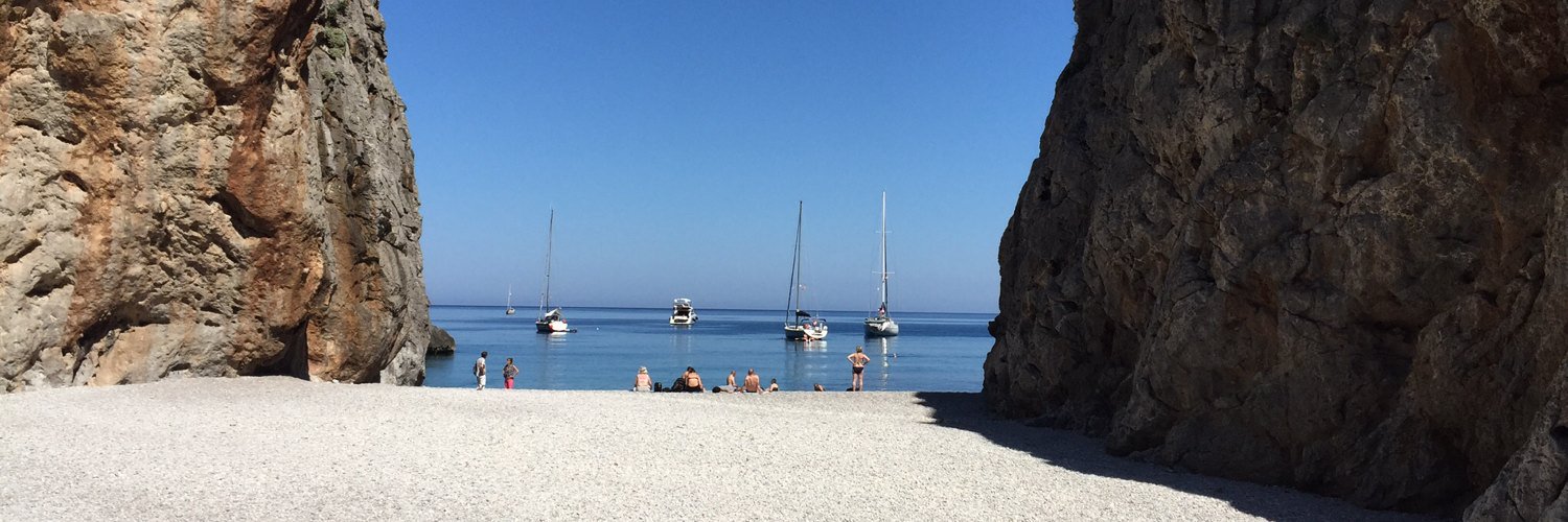 Toni Solivellas banner