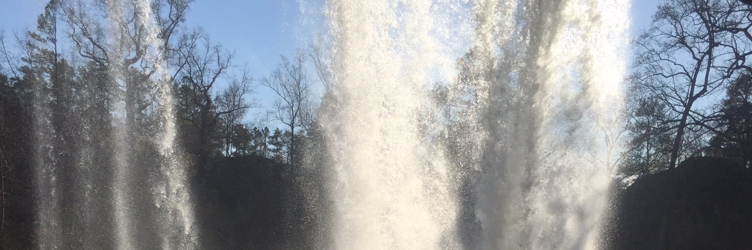 lismcdan's profile banner image