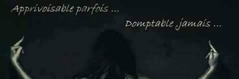 Sand_Lys's profile banner image
