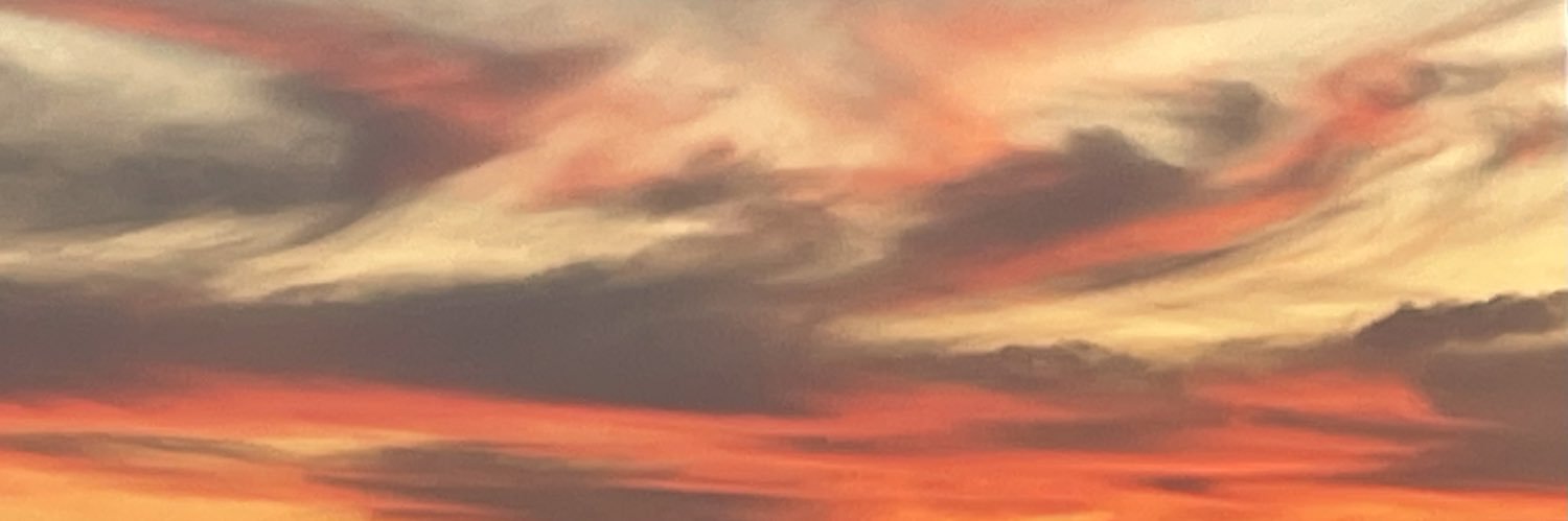 zarinataylor's profile banner image