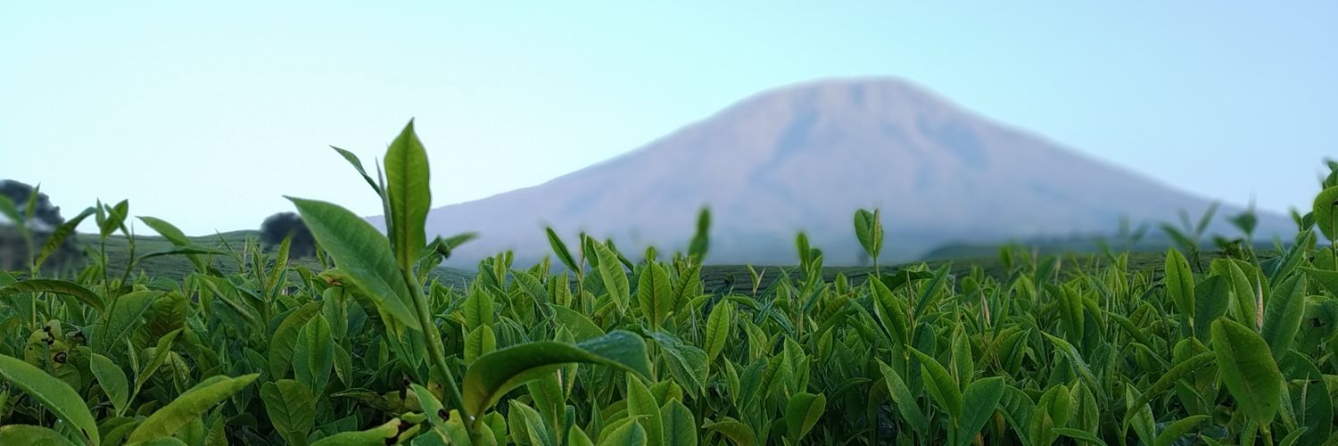 kucingkumal's profile banner image