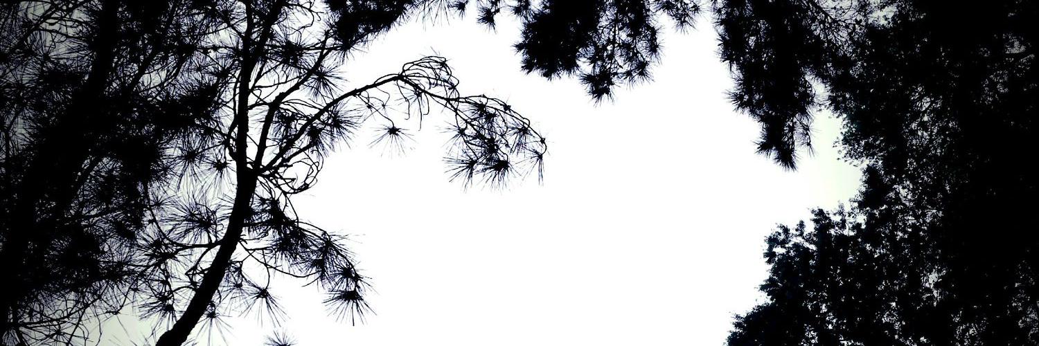 JordanSpence77's profile banner image