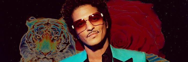 Bruno's Orchid🌹🇦🇺🐬 banner