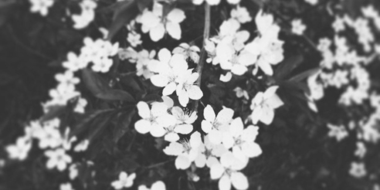BiiDi_SkyBox's profile banner image