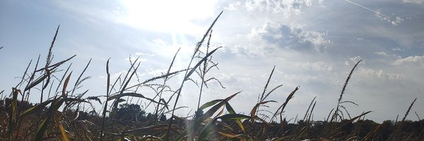 StarflyV Profile Banner