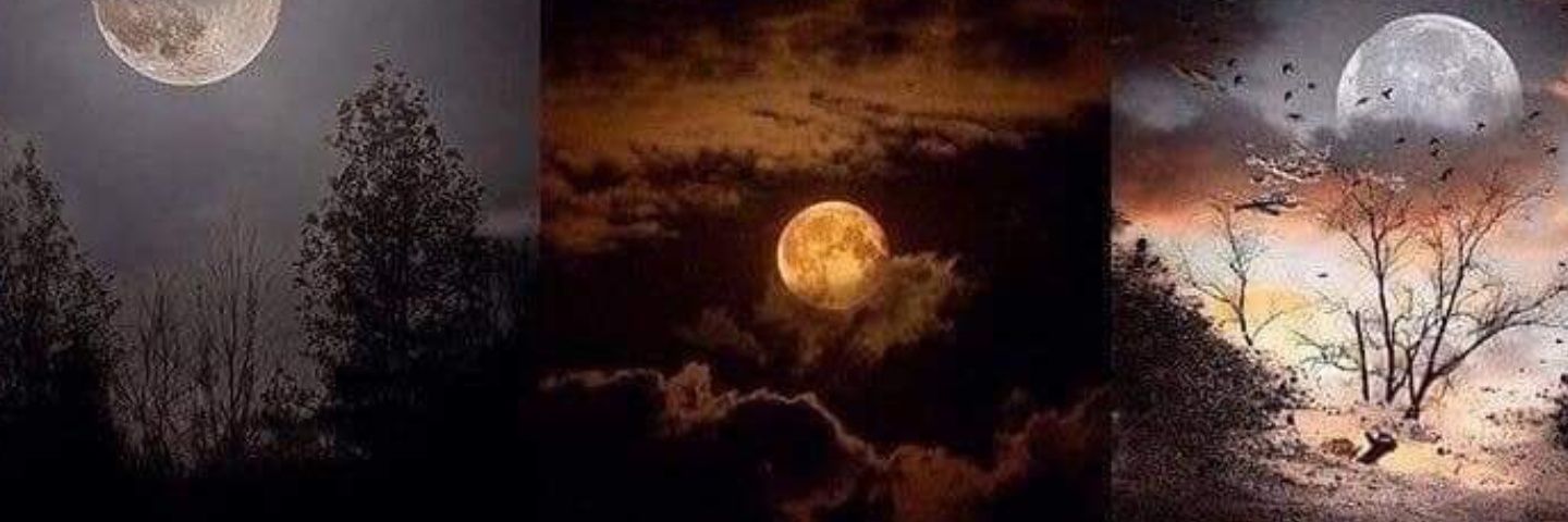 sleepingrock's profile banner image