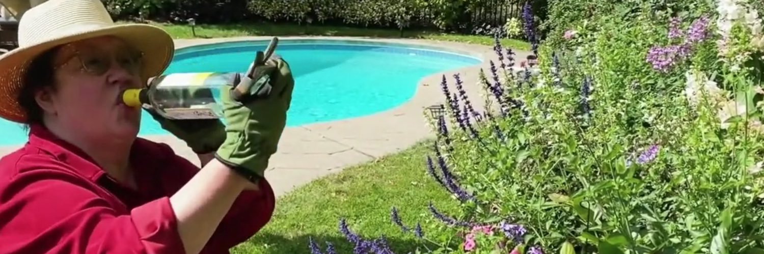 Cameron Scheetz banner