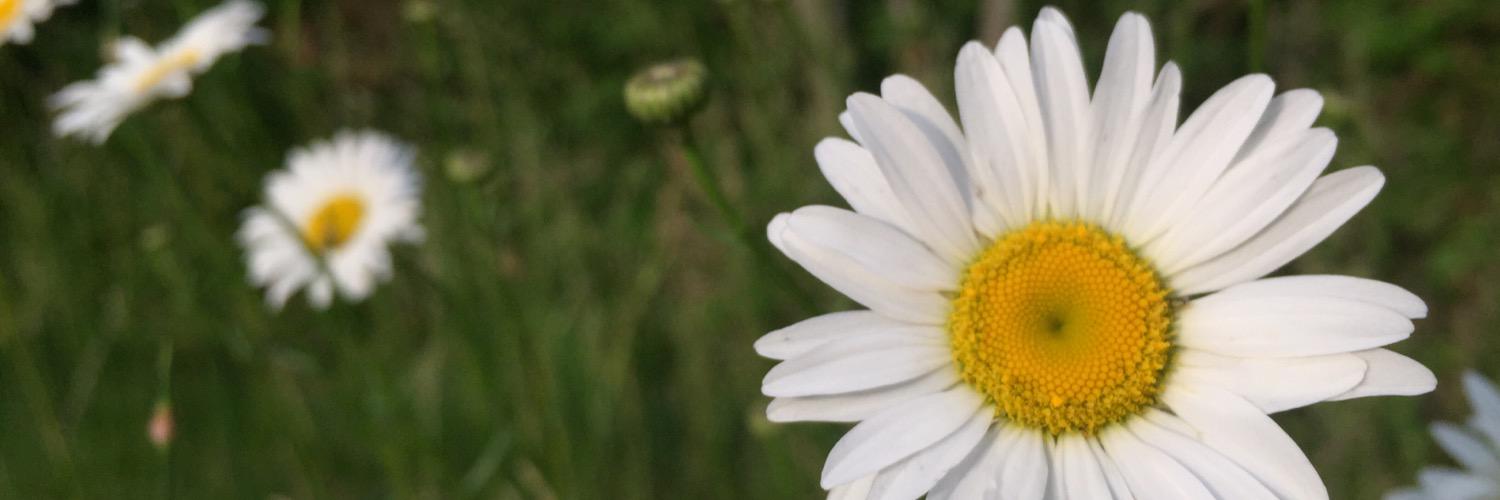 bmills003's profile banner image