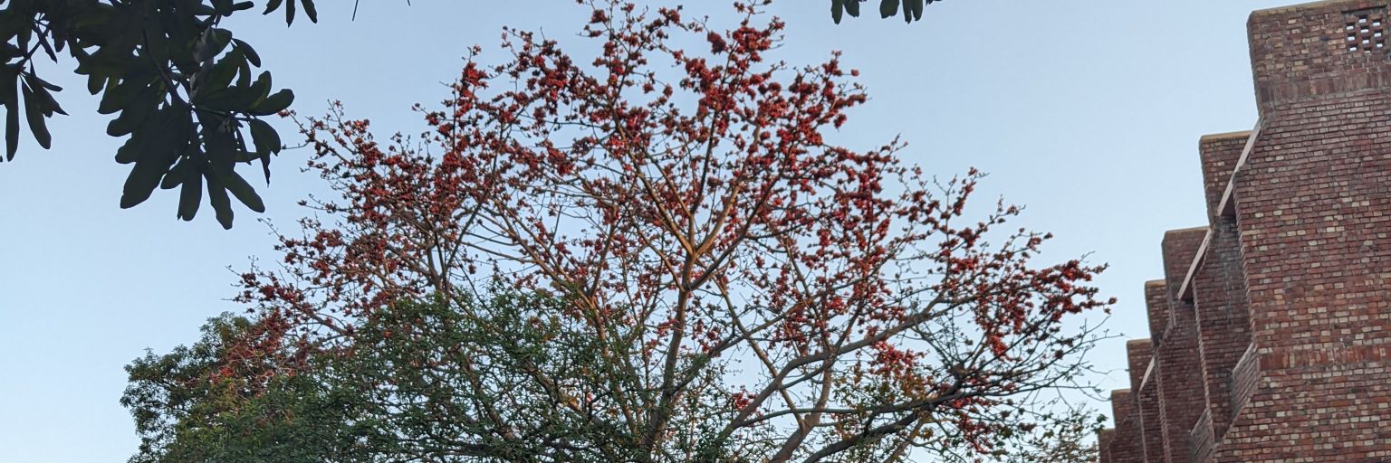 AntasPalash's profile banner image