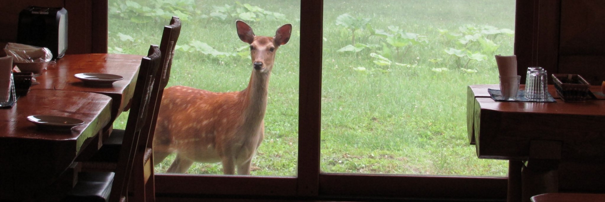 宿房 樺のん（霧多布） banner