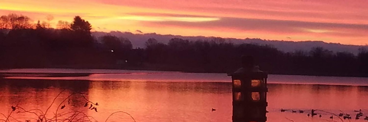 gilberti_'s profile banner image