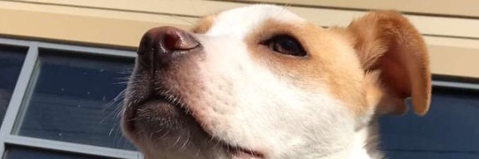 wrotethewit's profile banner image