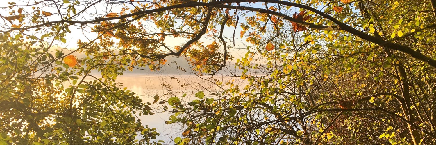 @vincent@oisaur.com banner