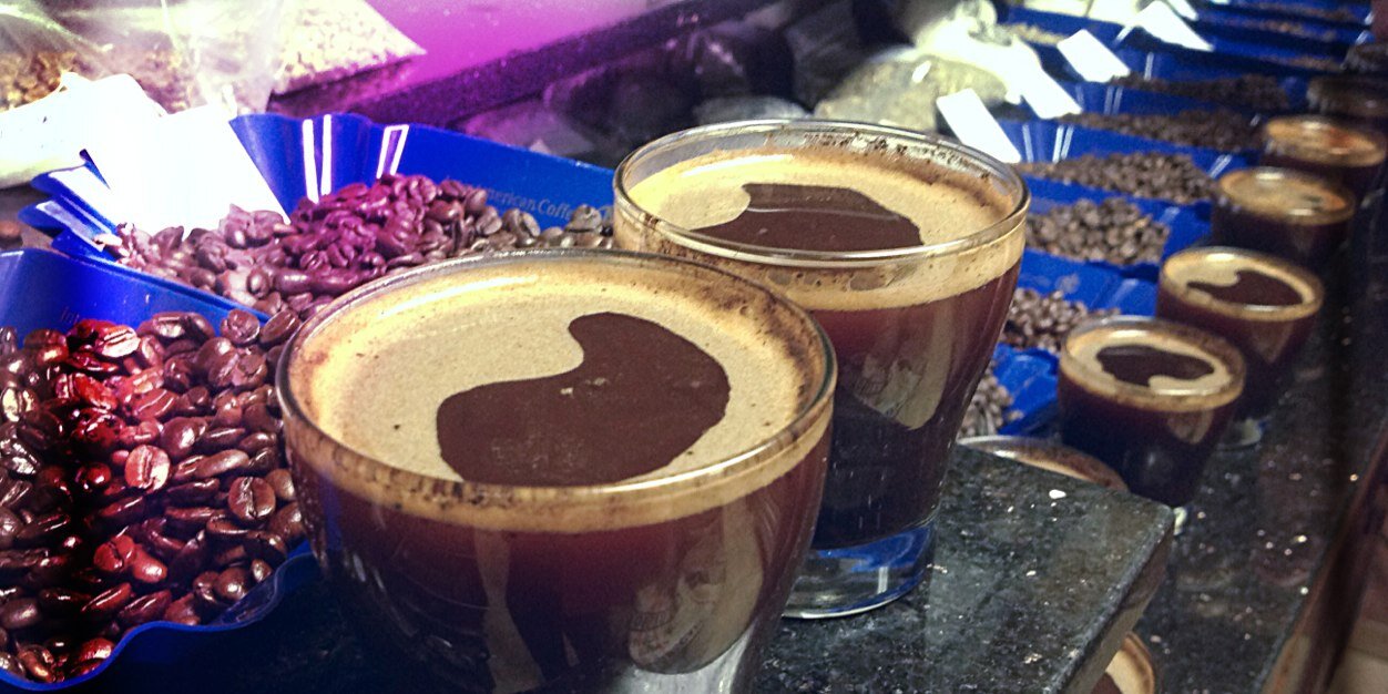 paramourcoffee's profile banner image