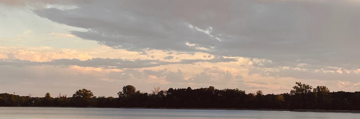 selmaericks's profile banner image