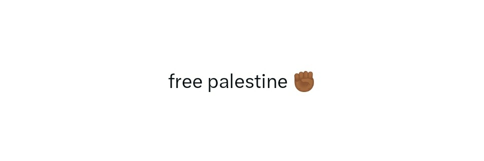 🇵🇸 banner