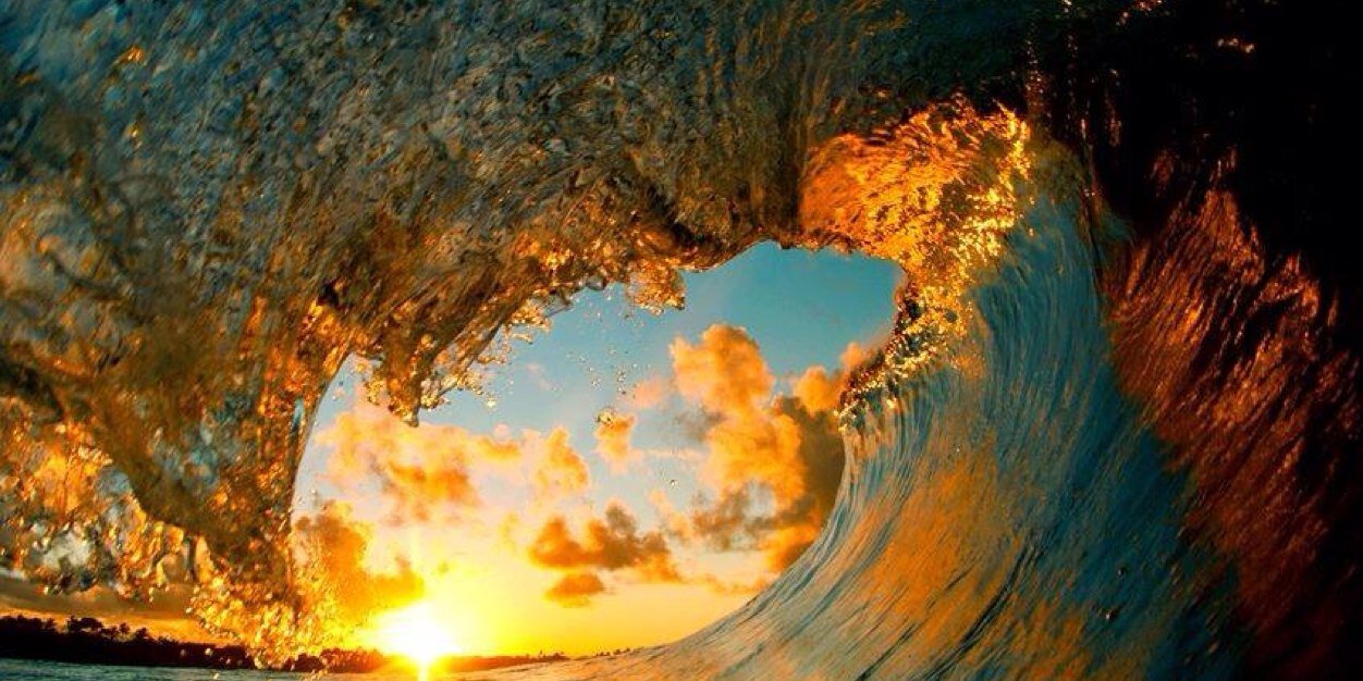 Tina Champagne, OTD, FAOTA banner