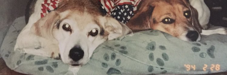 CubaFely's profile banner image