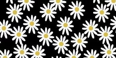 MarcelaSoloeso's profile banner image