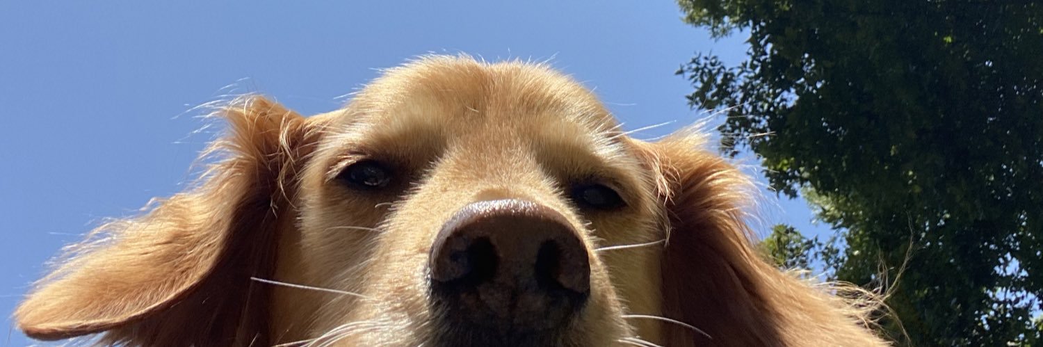 KelsDuffy's profile banner image