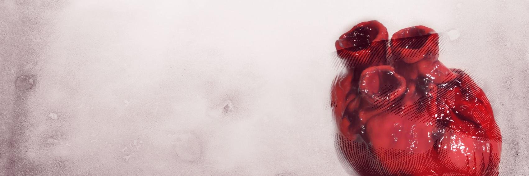 anatigre_'s profile banner image