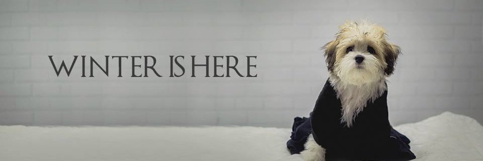 biancagentil_'s profile banner image