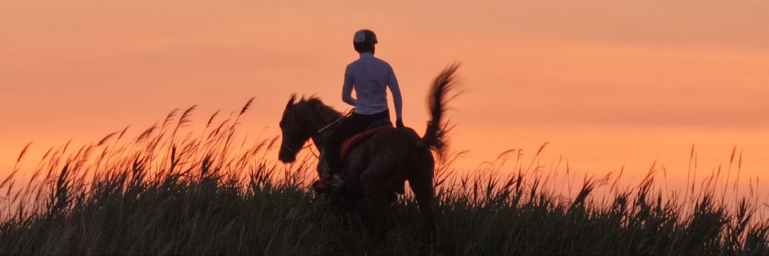 Asamoduo's profile banner image