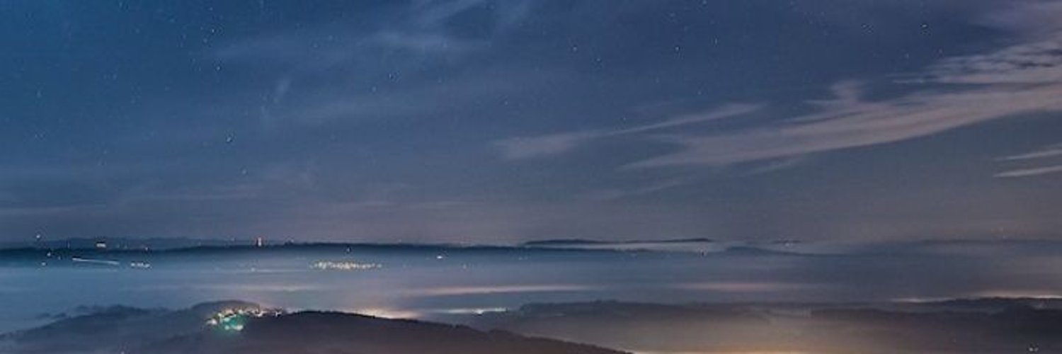 こがねむし banner