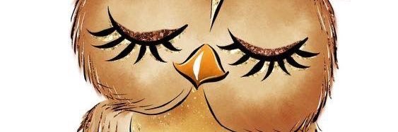 ProfeAlcy's profile banner image